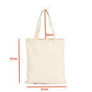 ECOBAG kit com 5 bolsa ecológica sacola Lisa Branco Dura